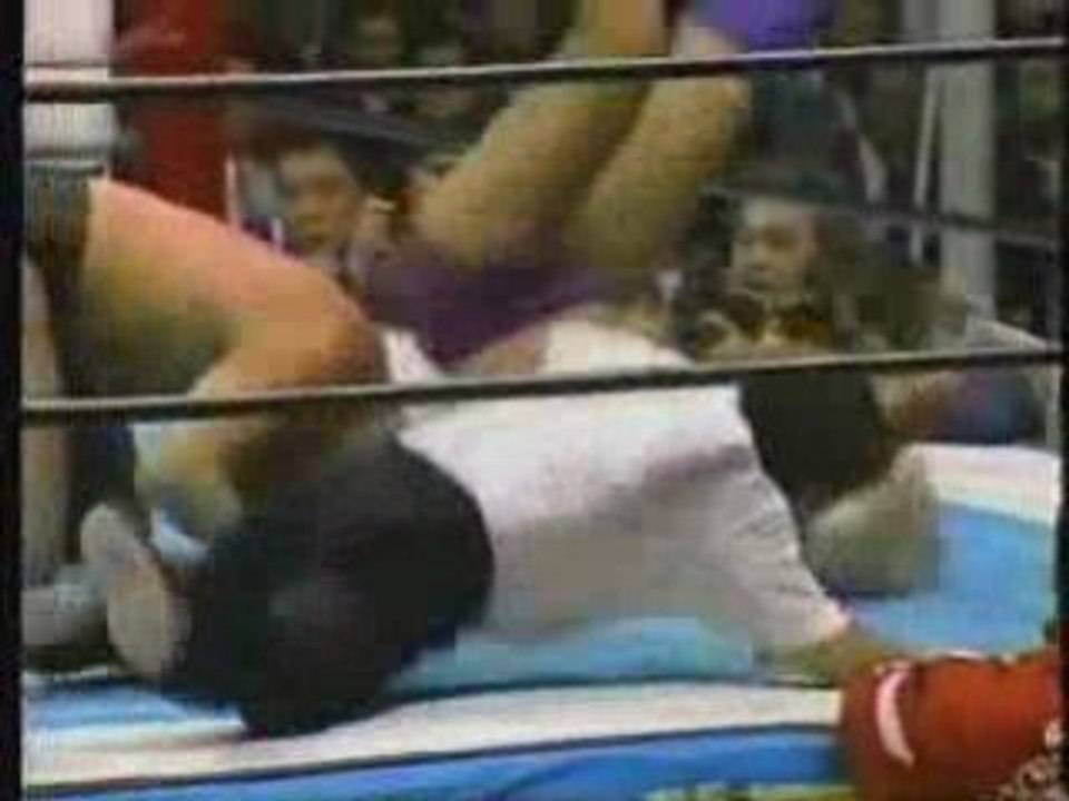 Ric Flair vs. Antonio Inoki