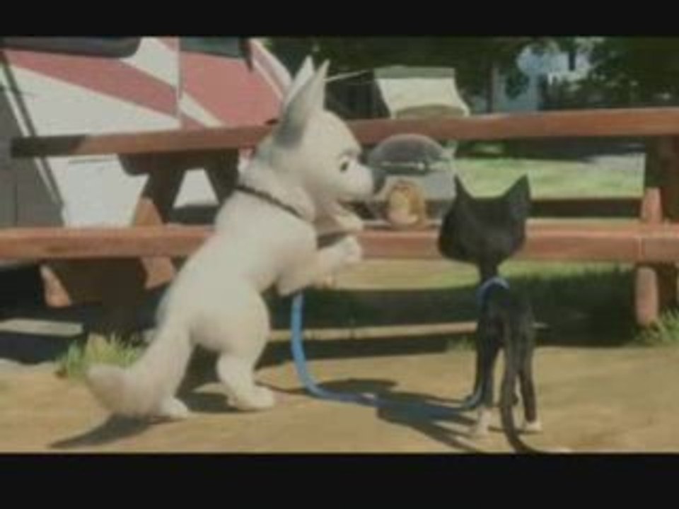 Bolt