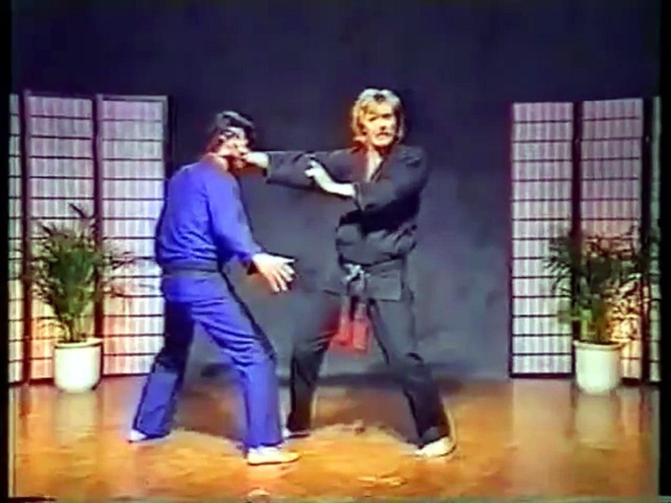 Kenpo Karate