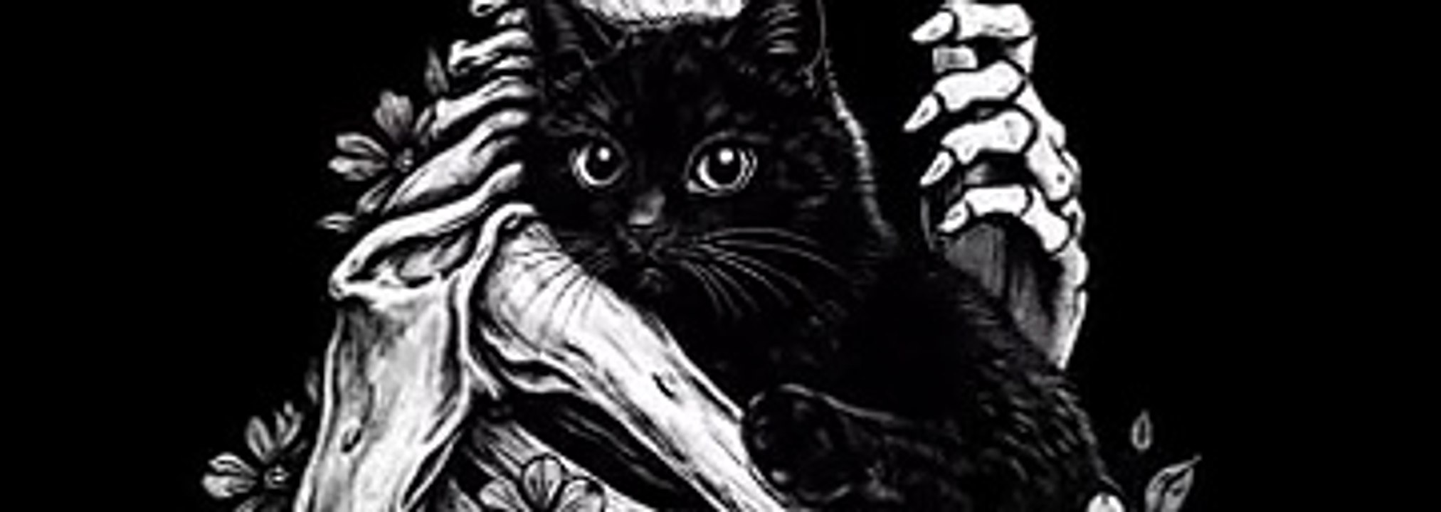 funny cats gif - 6