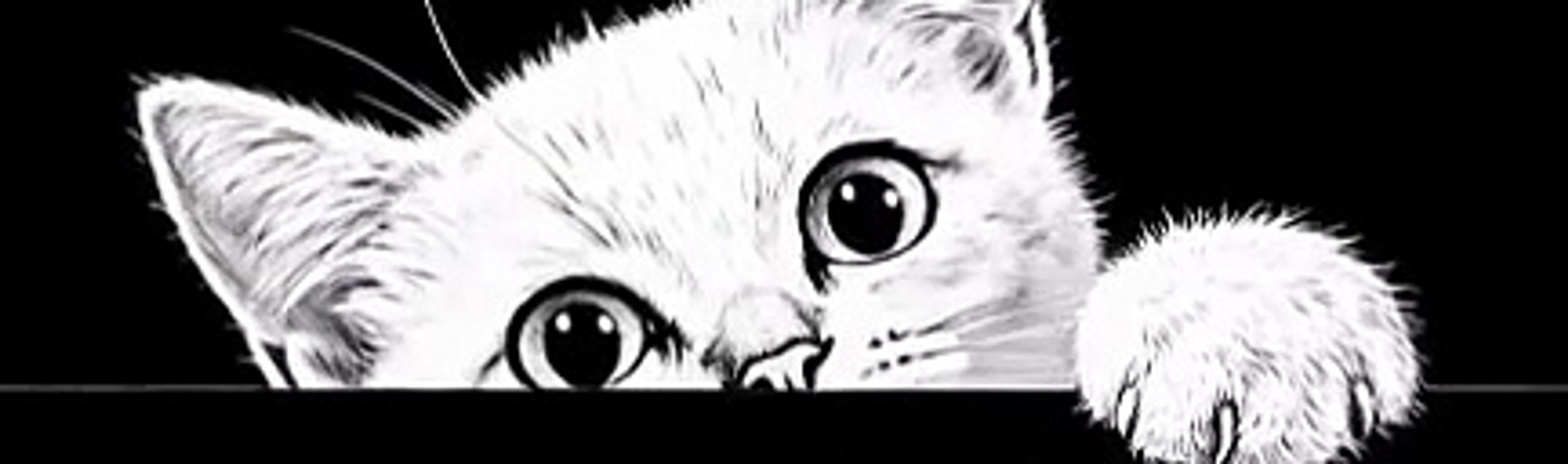 funny cats gif - 7