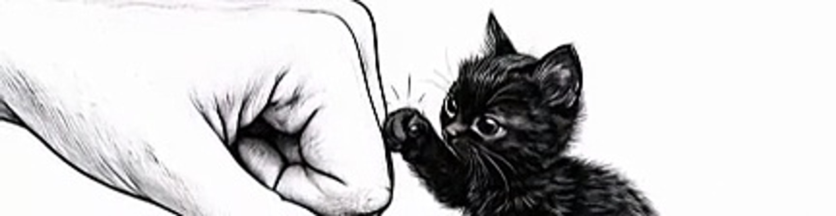 funny cats gif - 9
