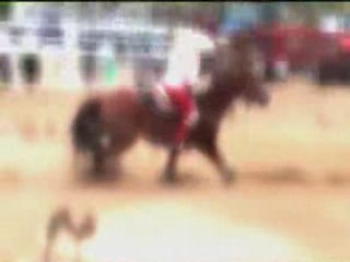 Rodeo  Gymkhana Ste-Monique 2008