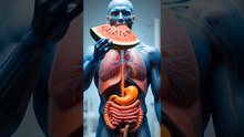 “This Is What Watermelon Does Inside Your Body | 3D Animation”