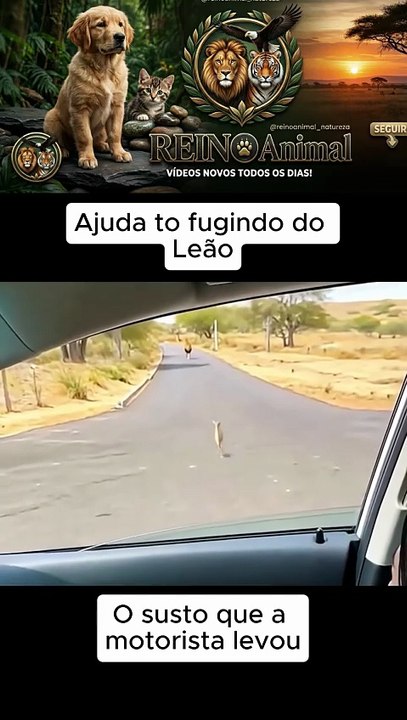 Fugindo do Leão