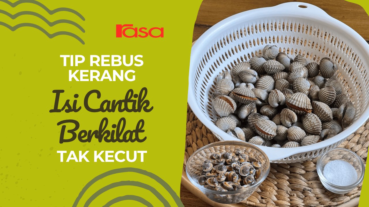 Tip Rebus Kerang Isi Cantik Berkilat & Tak Kecut
