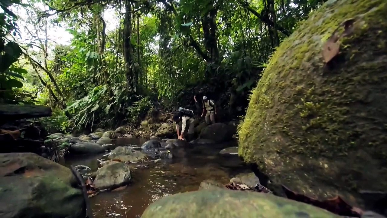 Identifican más de 8.000 potenciales nuevas especies de insectos en Ecuador gracias al ADN
