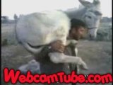 Strong Kurdish Man Lifts a Donkey on his Shoulders