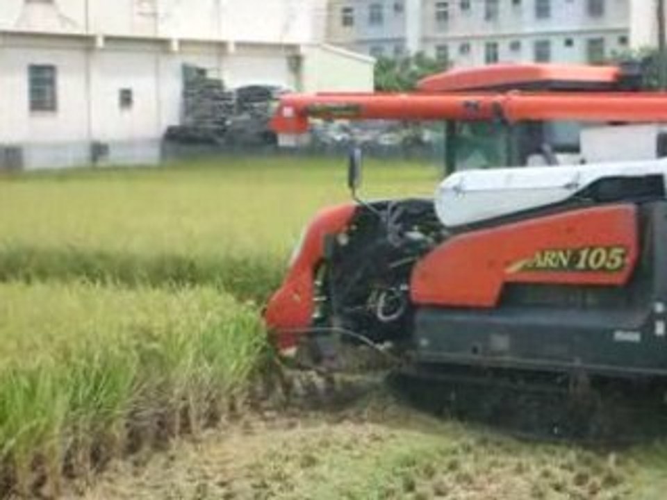 Rice harvest Taiwan
