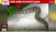 ജീവനുള്ള പാമ്പിനെ ചാക്കിലാക്കി മാലിന്യത്തിനൊപ്പം നൽകി; ഹരിതകർമ സേന രക്ഷപെട്ടത് ഭാഗ്യം കൊണ്ട്