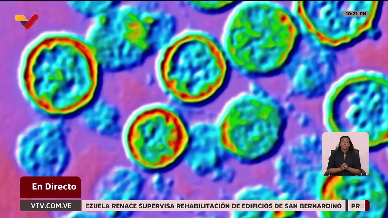 Recomendaciones médicas pueden evitar contagiarte de Hantavirus o Leptospirosis