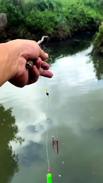 This Small Lake Has Giant Fish! 😱🐟 How Did We Get This Monster Out? 🎣🔥