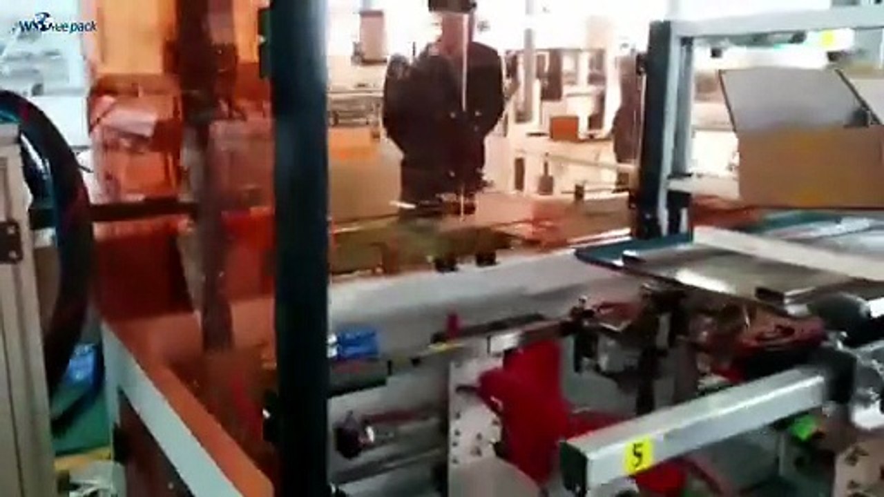 Sponge Cartoning & Case Packing Line