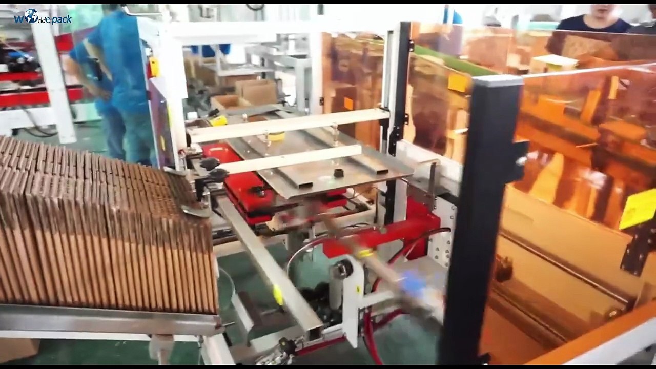 Sponge Overhead Case Packing Machine