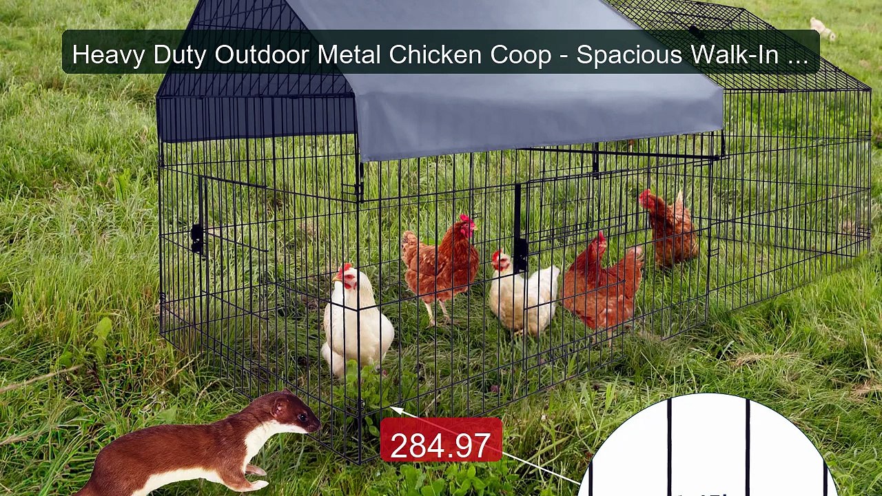Heavy Duty Outdoor Metal Chicken Coop - Spacious Walk-In Enclo... -- Best Buy 2026 | Great Quality!