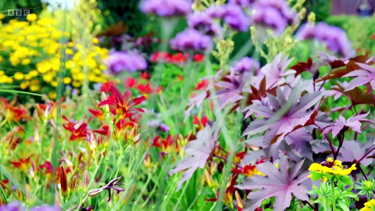 Gardeners World S59E18