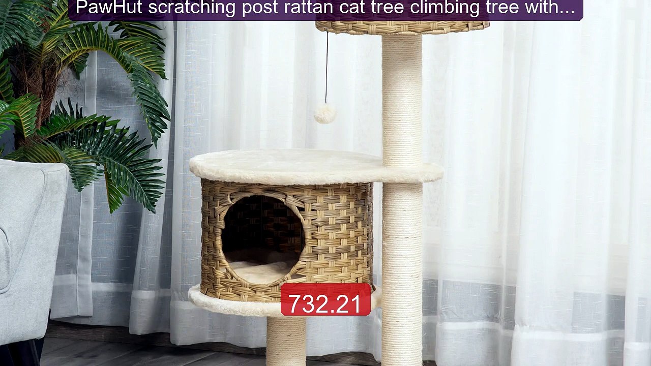 PawHut scratching post rattan cat tree climbing tree with c... -- Top Pick 2026 | Unbeatable Price!