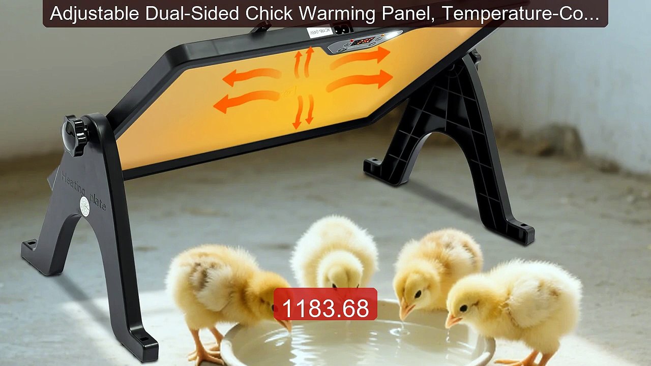 Adjustable Dual-Sided Chick Warming Panel, Temperature-Controlled P... -- Top Rated 2026 | Buy Now!