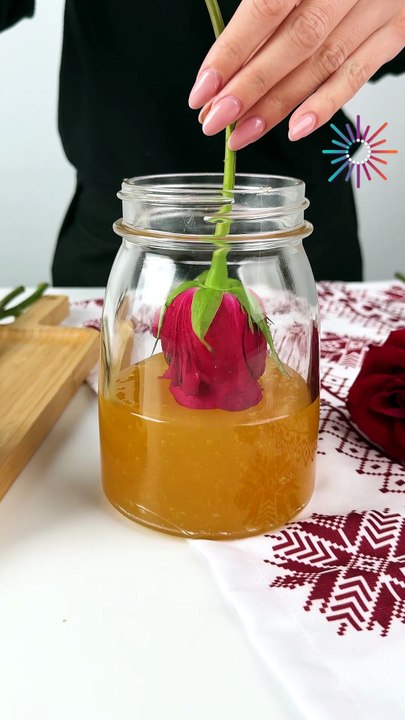 How to preserve beautiful roses🌹