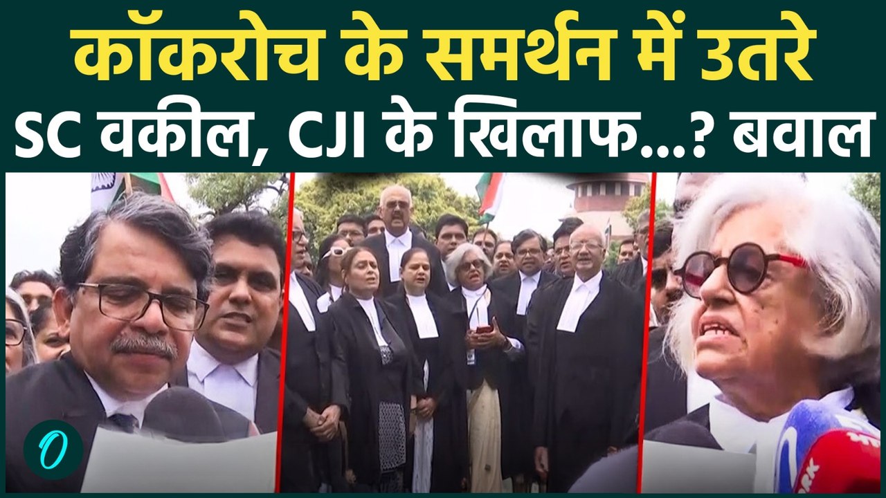 CJP Protest के समर्थन में Supreme Court Lawyers, NEET छात्रों के लिए लगे 'लोकतंत्र बचाओ' के नारे