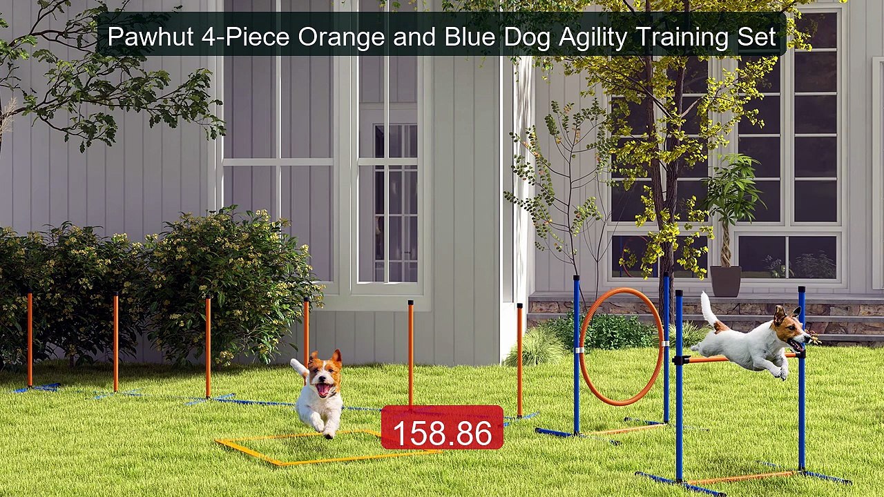 Pawhut 4-Piece Orange and Blue Dog Agility Training Set -- Top Rated 2026 | Buy Now!
