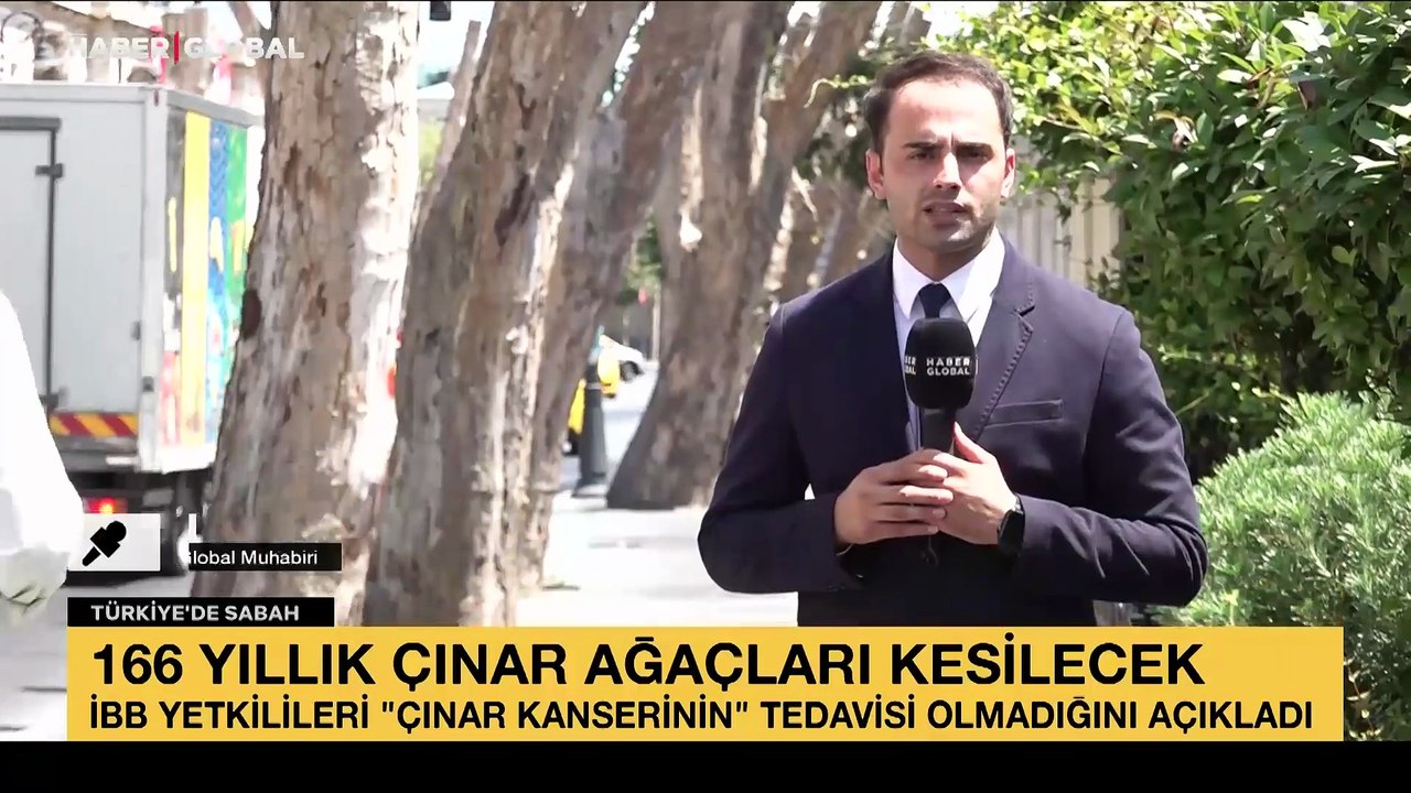 166 yıllık çınar ağaçları kesilecek