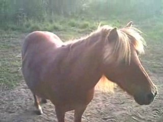 Visite a mon loulou en vacances