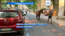 Жителей Котиньяка в Провансе пришлось эвакуировать, огонь удалось локализовать