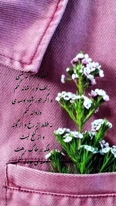 قصد دارم که شبی موی تو را شانه کنم