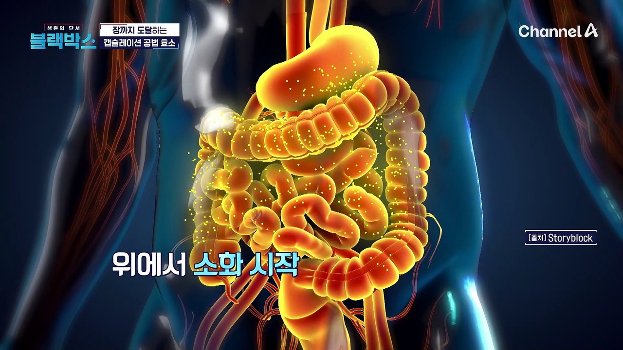 위산에 파괴되는 효소? 장까지 살려 보내는 법!