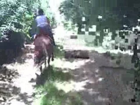 Caméra embarqué galop