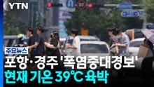 [날씨] 포항·경주 '폭염 중대경보'...현재 기온 39℃ 육박 / YTN