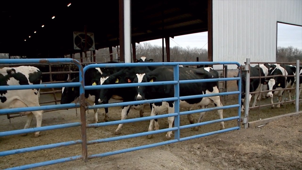 Zoonotic outbreak risk centered in the US, a sobering global warning.