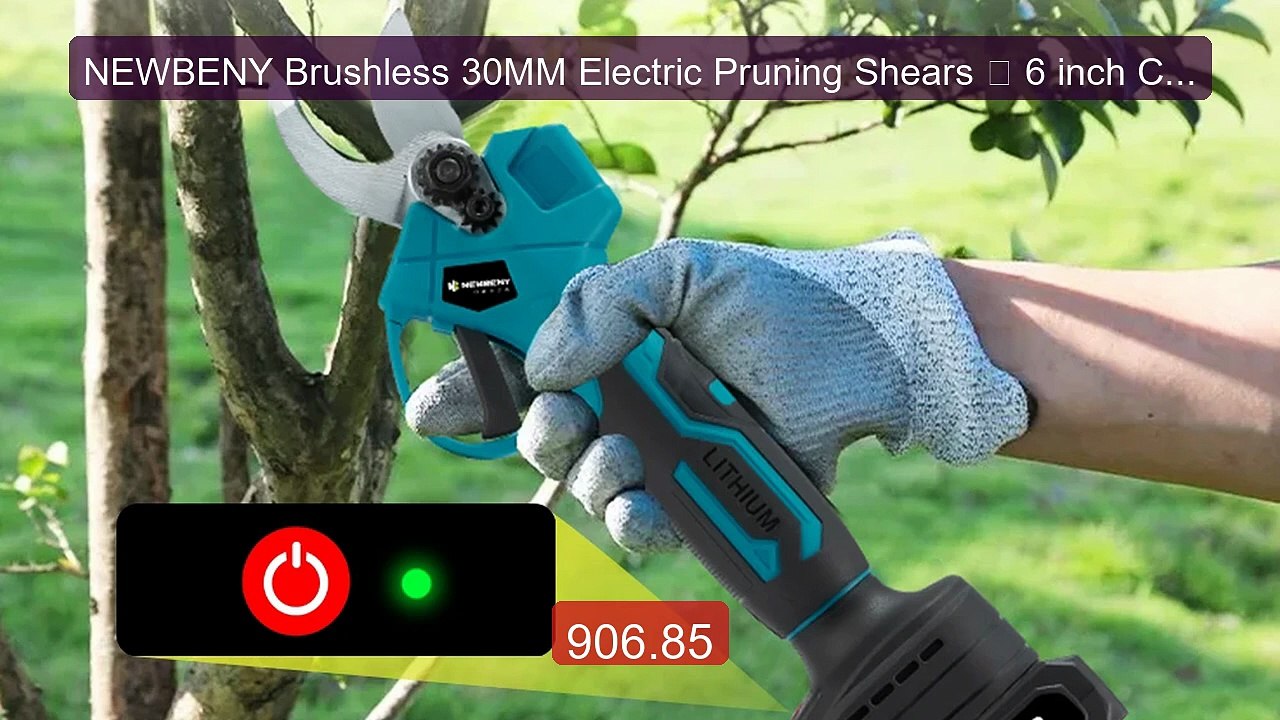 NEWBENY Brushless 30MM Electric Pruning Shears ＆ 6 inch Chainsaw Co... -- Top Rated 2026 | Buy Now!