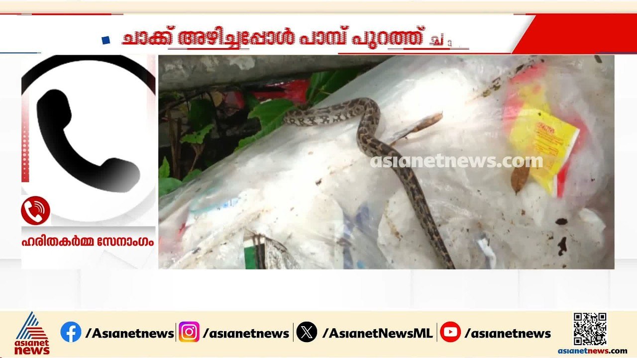 കമ്പി അഴിച്ചതും പാമ്പ് പുറത്തേക്ക് ചാടി', ഹരിതക...