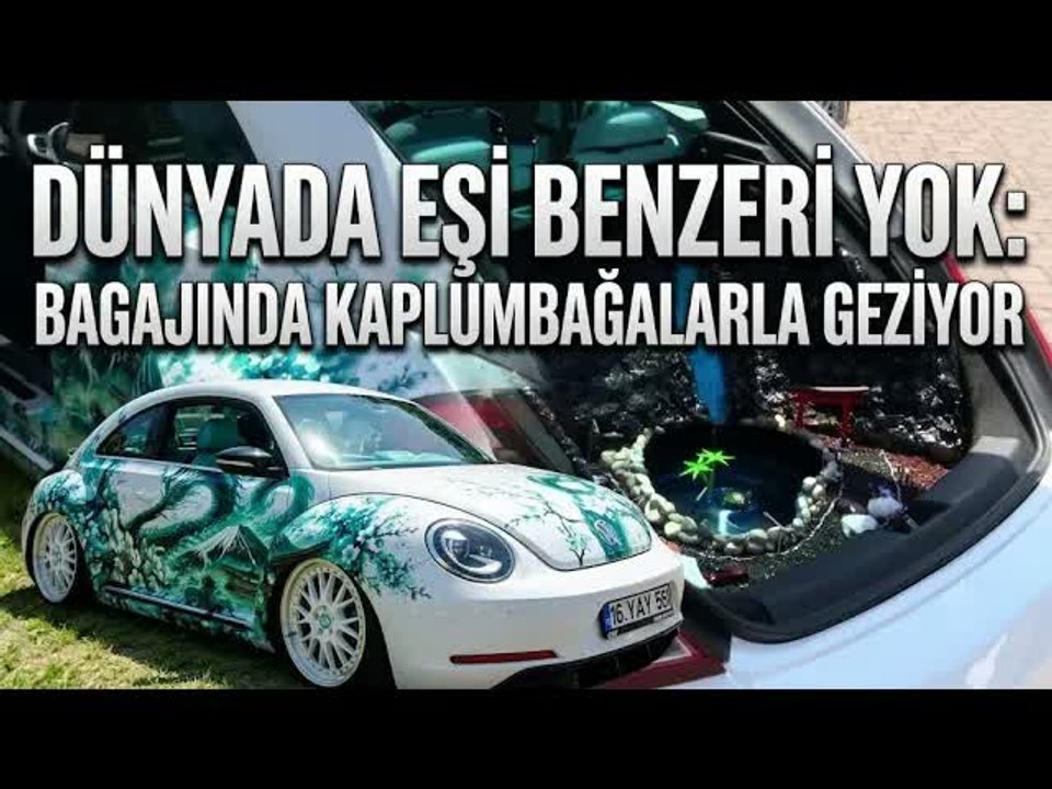 Bu Otomobilin Bagajı Göl Oldu! İçinde Gerçek Kaplumbağalar Yaşıyor