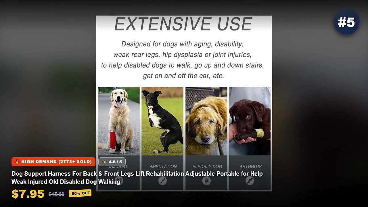 Amazing Portable Dog Harness You Need To See ...