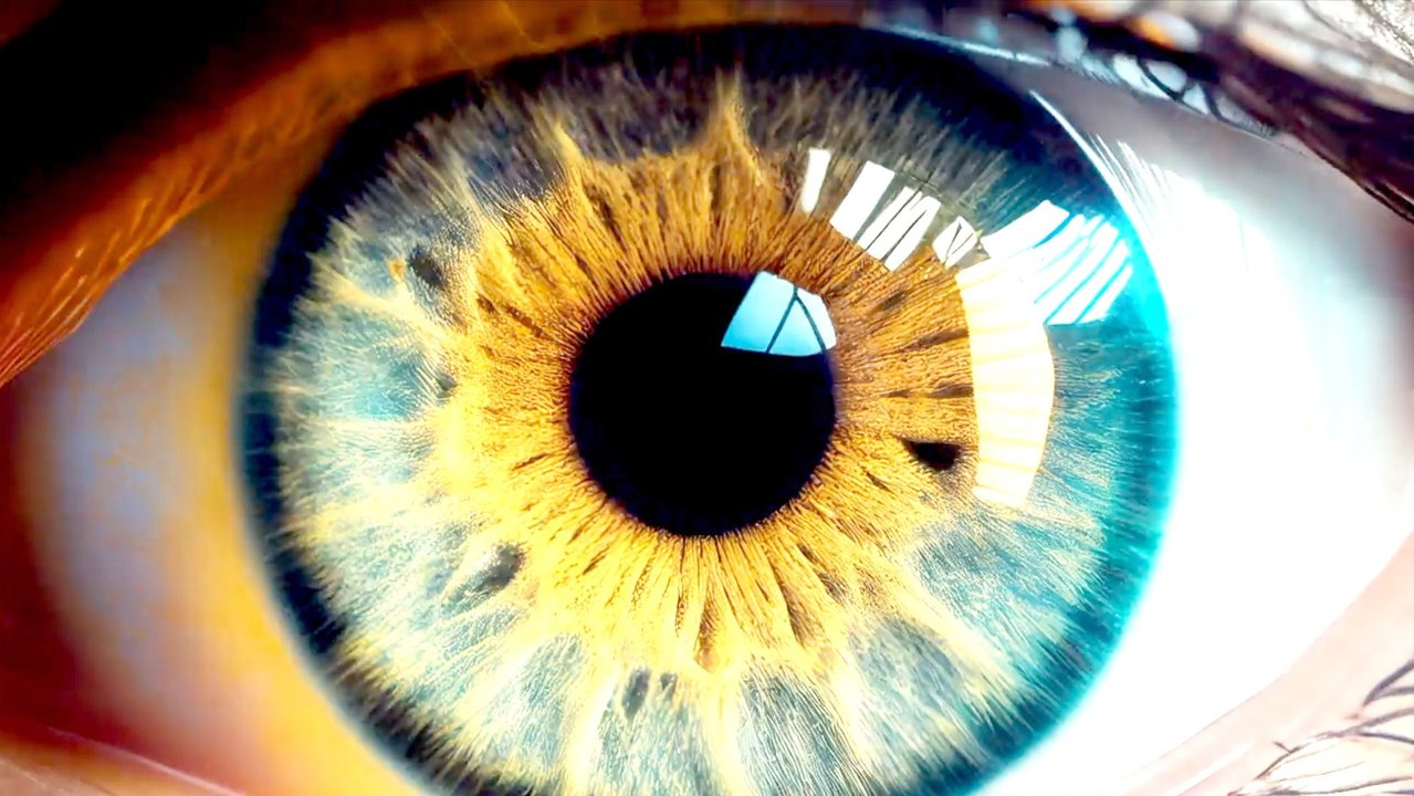 Pupils Shrink with Age, Shedding Light on How Eyes Age