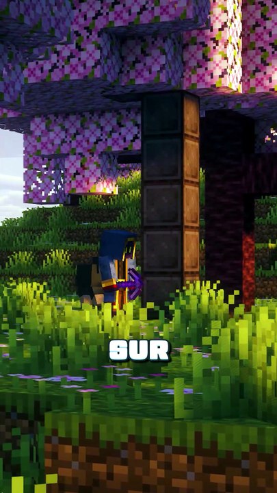 3 HACKS FACILES sur Minecraft ✅