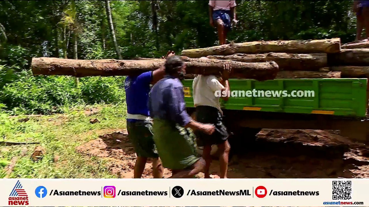 'വിശ്വാസ വഞ്ചന കുറ്റം നിലനിൽക്കും'; മുട്ടിൽ മരംമുറി കേസിൽ അഗസ്റ്റിൻ സഹോദരങ്ങൾക്ക് തിരിച്ചടി