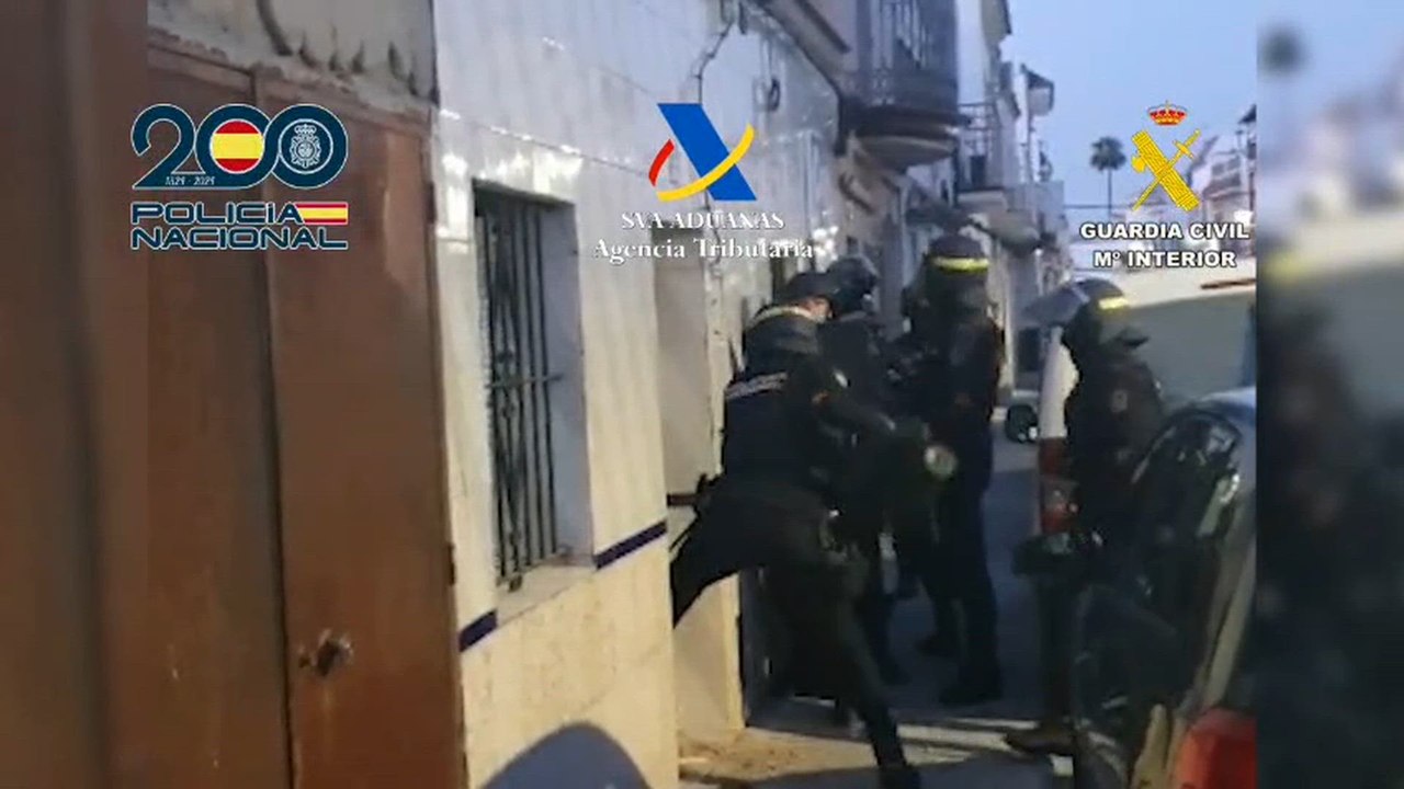 Una macrooperación conjunta de la Guardia Civil, Vigilancia Aduanera de la Agencia Tributaria y Policía Nacional ha permitido desmantelar 24 plantaciones de marihuana en El Palmar de Troya (Sevilla), con un balance de 25 detenidos y 4 investigados.