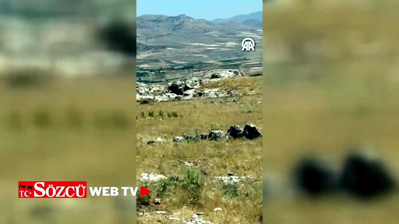 Batman'da ceylanlar cep telefonu kamerasıyla görüntülendi