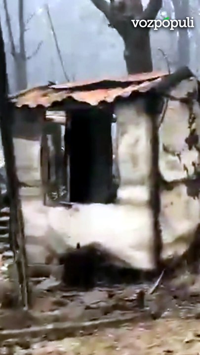 Así ha quedado un camping en Ávila tras ser arrasado por las llamas