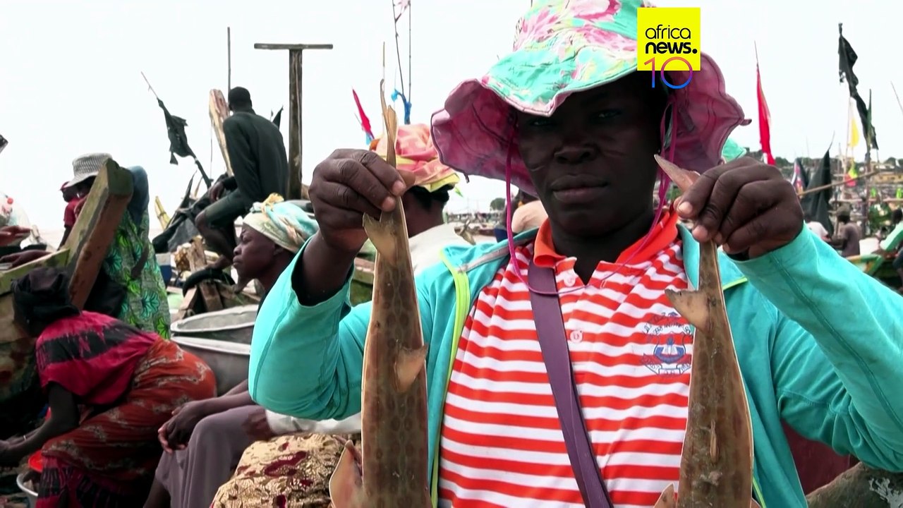 Ghana : mobiliser les pêcheurs pour sauver le poisson-guitare