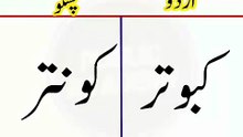Learn Pashto into Urdu language | lesson # 29
