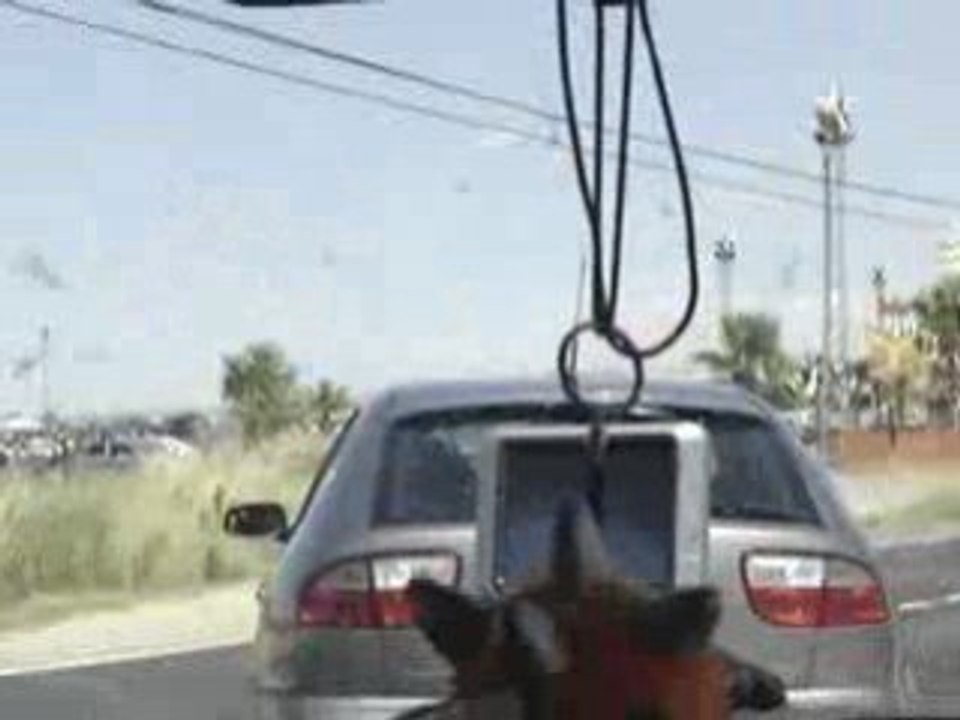 fiesta del agua radical