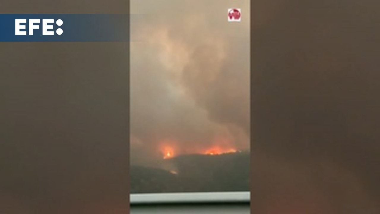 Castilla y León amanece con 9 fuegos activos y más de 1.500 evacuados entre Ávila y León