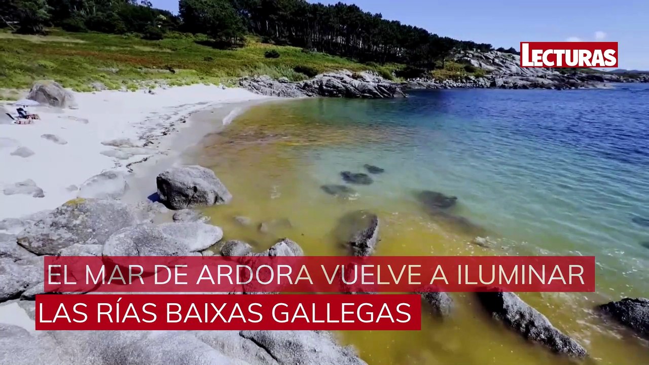 El mar de ardora vuelve a iluminar las costas de Galicia