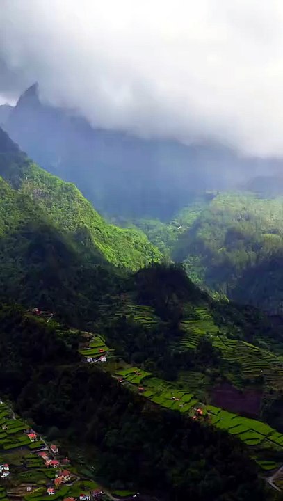 The Lush Beauty of Madeira, Portugal 🇵🇹
