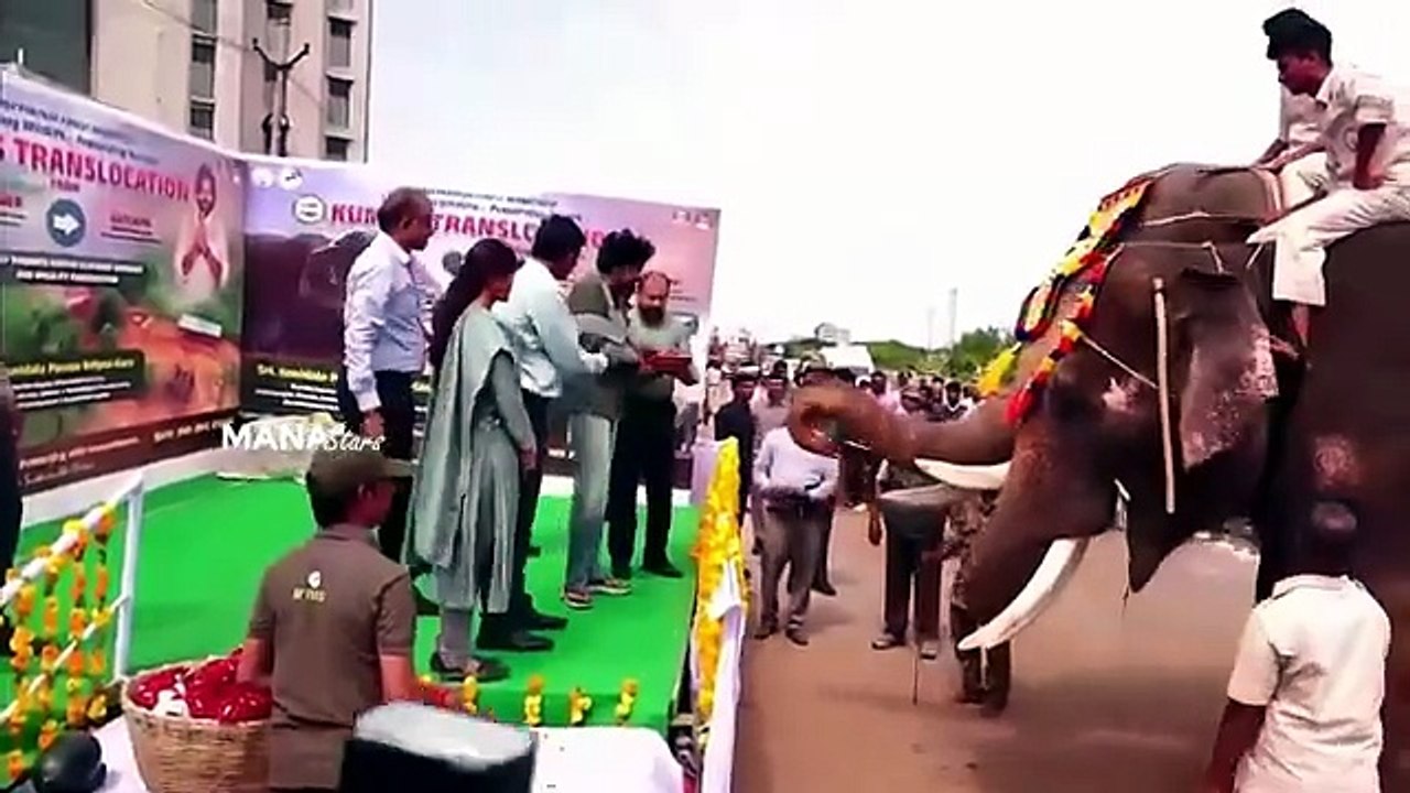 Deputy CM Pawan Kalyan Welcomed Kumki Elephants in Amaravati
